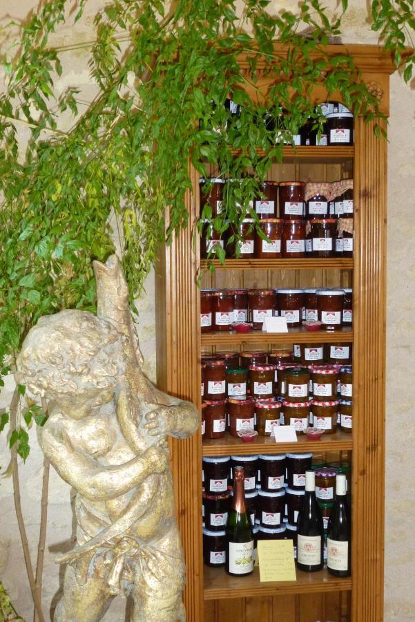 Domaine De La Maison Neuve Saint-Jean-Saint-Germain Eksteriør billede