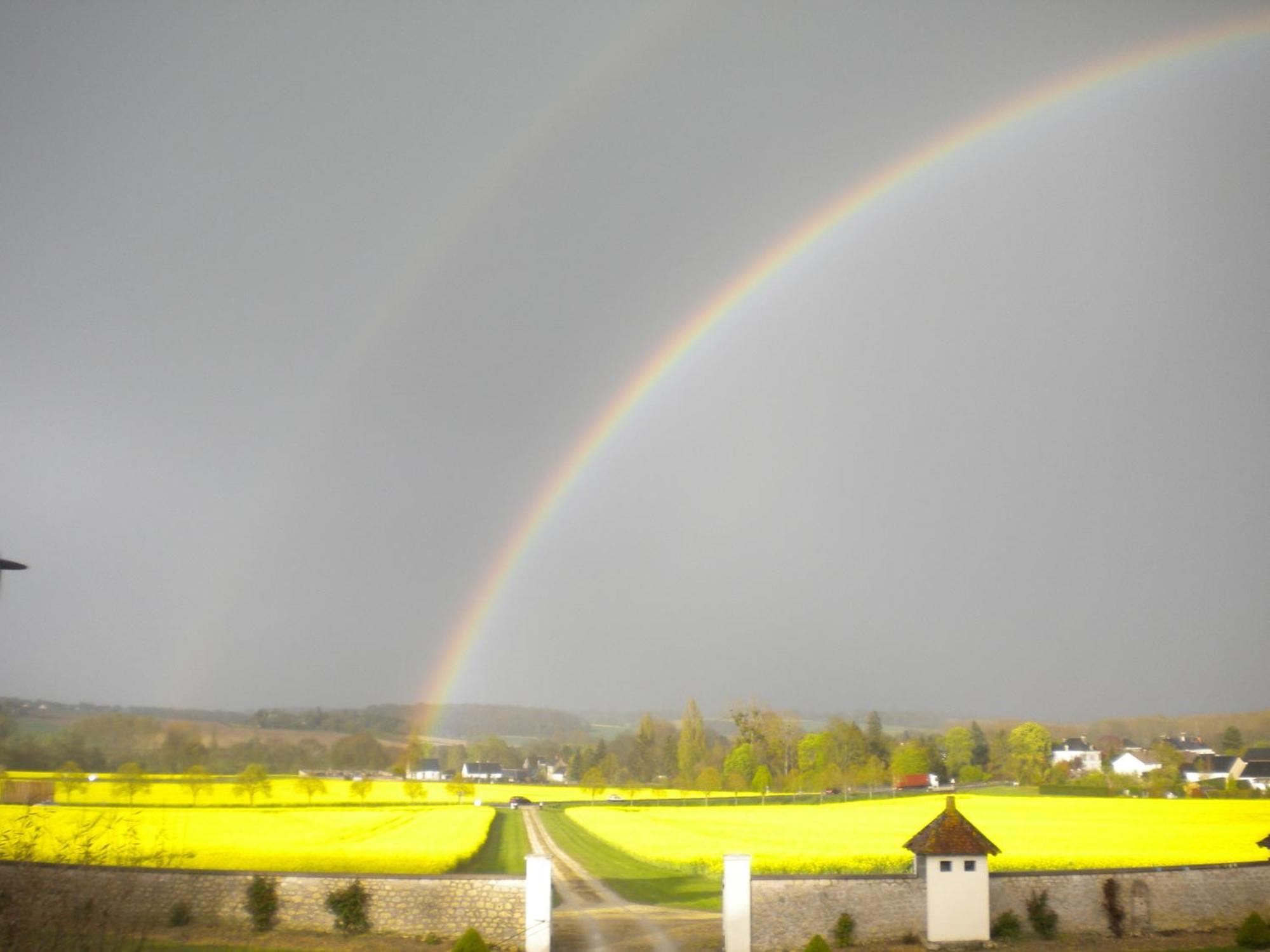 Domaine De La Maison Neuve Saint-Jean-Saint-Germain Eksteriør billede