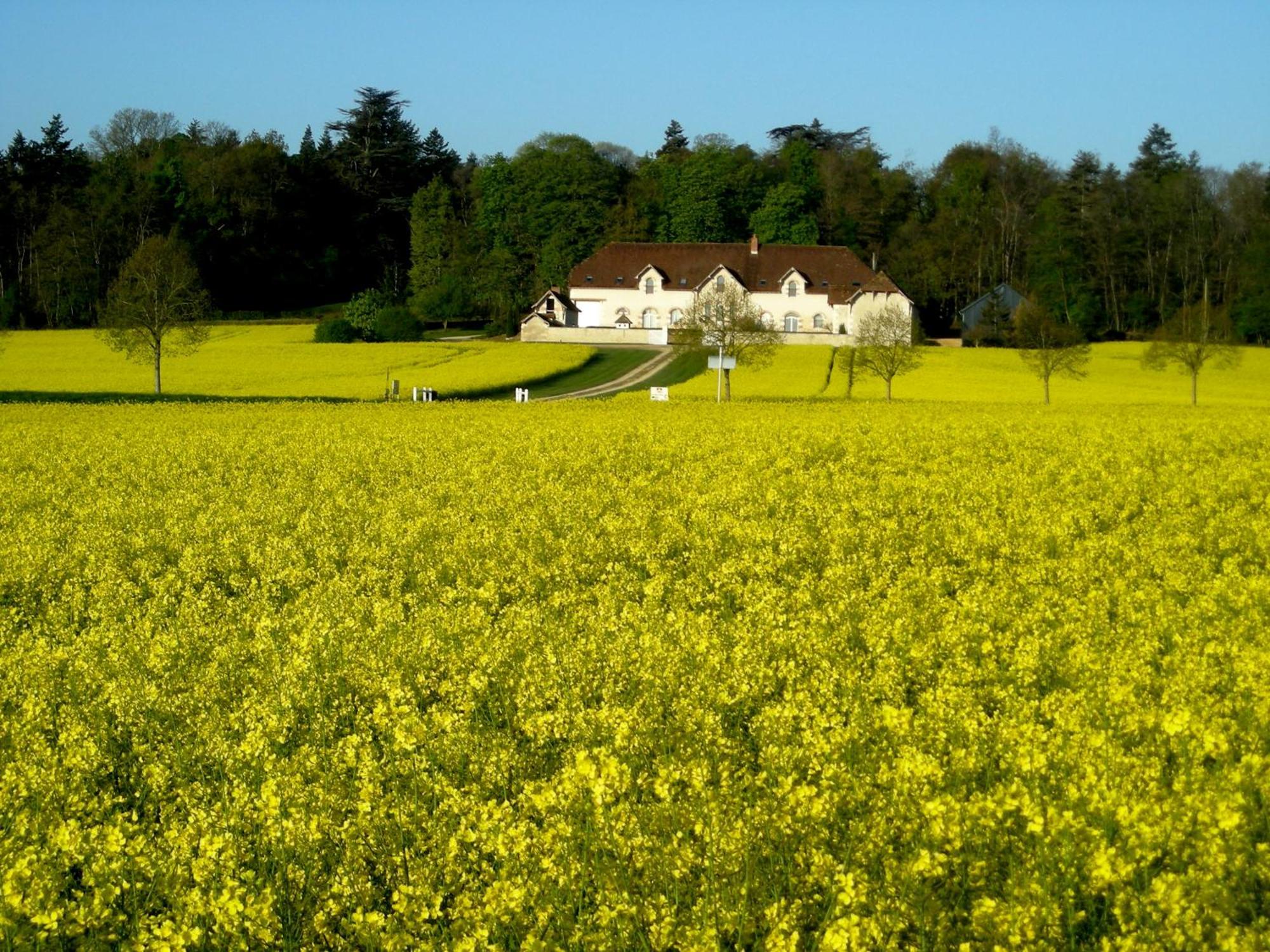 Domaine De La Maison Neuve Saint-Jean-Saint-Germain Eksteriør billede