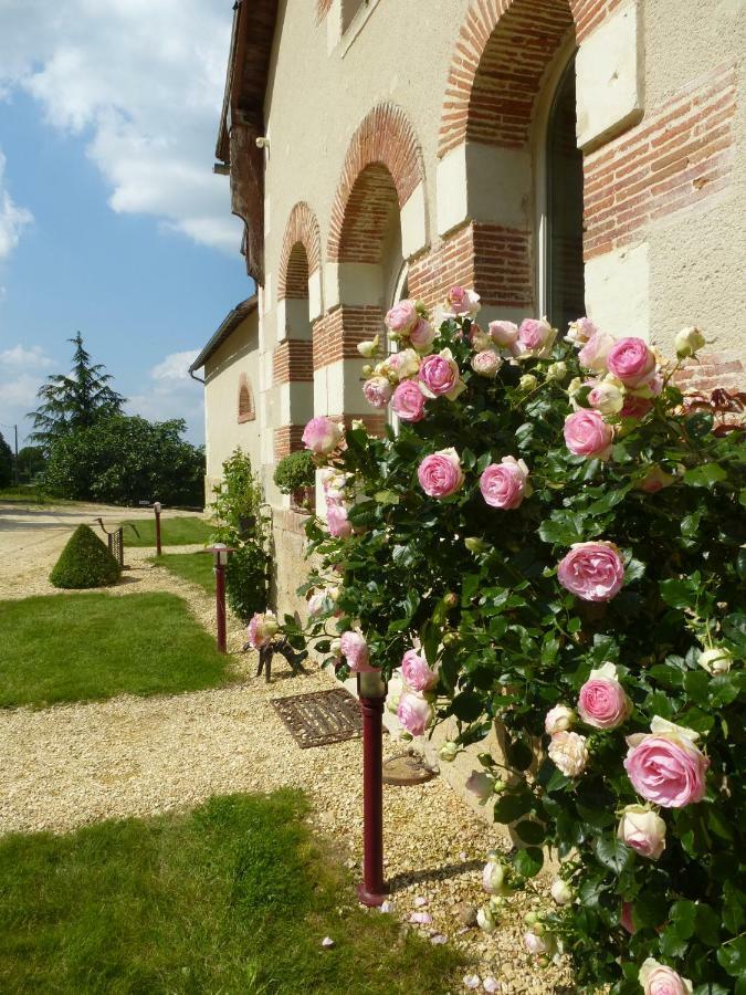 Domaine De La Maison Neuve Saint-Jean-Saint-Germain Eksteriør billede