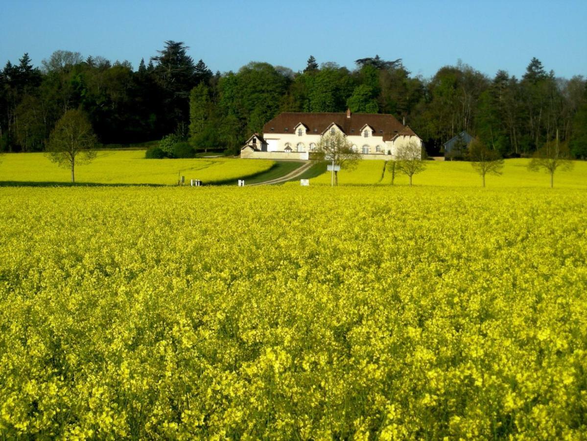 Domaine De La Maison Neuve Saint-Jean-Saint-Germain Eksteriør billede