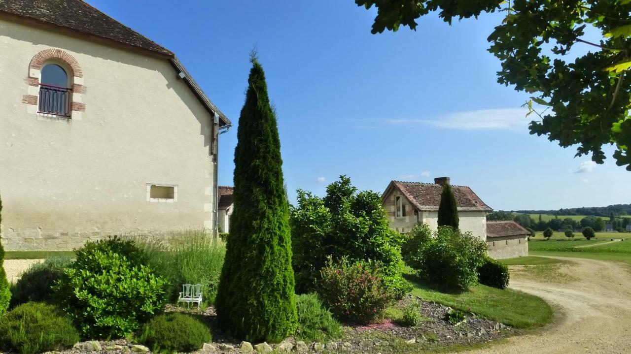 Domaine De La Maison Neuve Saint-Jean-Saint-Germain Eksteriør billede