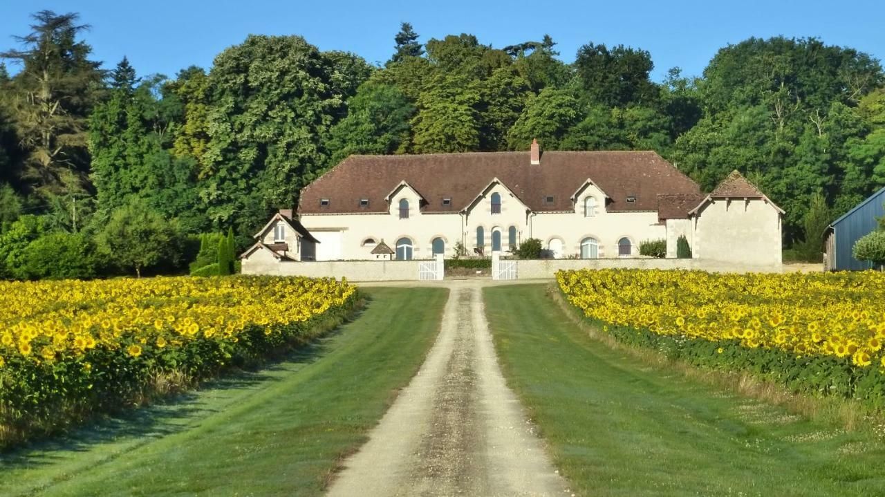 Domaine De La Maison Neuve Saint-Jean-Saint-Germain Eksteriør billede